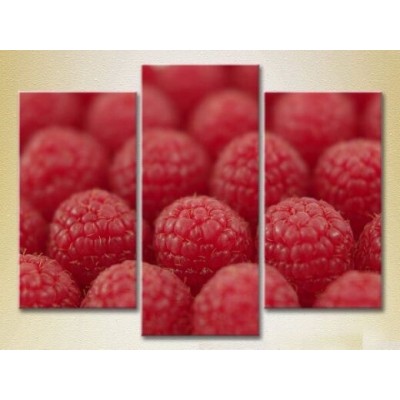 Картина Magic Color Triptych Raspberry (2698670)