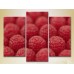 Картина Magic Color Triptych Raspberry (2698670)