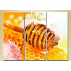 Картина Magic Color Triptych Honey in the honeycomb (2698673)