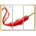 Pictură Magic Color Triptych Chili Pepper (2698689)