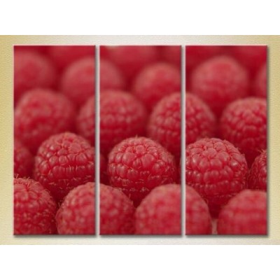 Pictură Magic Color Triptych Raspberry (2698690)