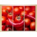 Картина Magic Color Triptych Tomatoes and Chili (2698693)