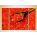 Pictură Magic Color Triptych Red Caviar (2698695)