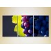 Картина Magic Color Triptych Grapes Lydia (2698708)