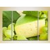 Картина Magic Color Triptych Cheese and White Grapes (2698710)