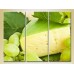 Картина Magic Color Triptych Cheese and White Grapes (2698714)