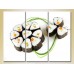 Картина Magic Color Triptych Sushi (2698719)