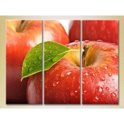 Картина Magic Color Triptych Apples (2698746)