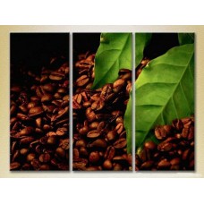 Картина Magic Color Triptych Grains and leaves of coffee (2698642)