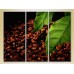 Картина Magic Color Triptych Grains and leaves of coffee (2698642)