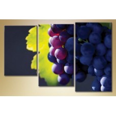 Картина Magic Color Triptych Grapes (1547215)