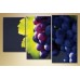 Картина Magic Color Triptych Grapes (1547215)