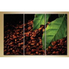 Картина Magic Color Triptych Coffee Beans (1547222)