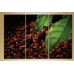 Картина Magic Color Triptych Coffee Beans (1547222)