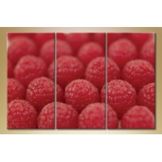 Pictură Magic Color Triptych Raspberry 2 (1547259)