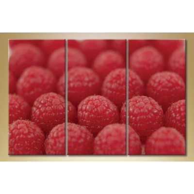 Pictură Magic Color Triptych Raspberry 2 (1547259)