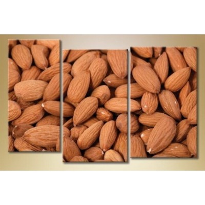 Pictură Magic Color Triptych Almond 2 (1547264)