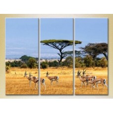 Картина Magic Color Triptych African Landscape (2698968)