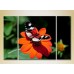 Картина Magic Color Triptych Butterfly on a Flower (2698967)