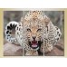 Картина Magic Color Triptych Leopard (2698994)