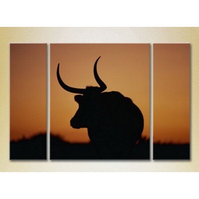 Картина Magic Color Triptych Buffalo (2698971)