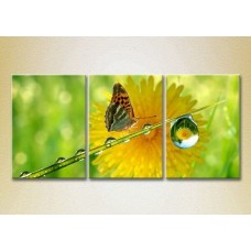 Картина Magic Color Triptych Butterfly and Dew (2698972)