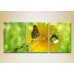 Картина Magic Color Triptych Butterfly and Dew (2698972)