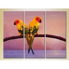 Картина Magic Color Triptych Two Parrots (2698973)