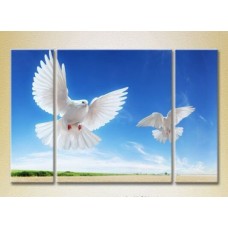 Картина Magic Color Triptych Two pigeons in flight (2698974)