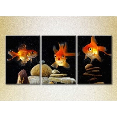 Картина Magic Color Triptych Goldfish (2698975)