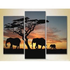 Pictură Magic Color Triptych Elephants, sunset in Africa (2699004)