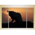 Pictură Magic Color Triptych Kitten at Sunset (2698978)