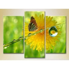 Pictură Magic Color Triptych Butterfly and Dew (2698979)