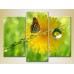 Pictură Magic Color Triptych Butterfly and Dew (2698979)