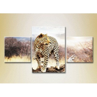 Pictură Magic Color Triptych Leopard on a log (2698982)