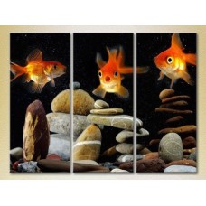 Pictură Magic Color Triptych Goldfish 02 (2698983)