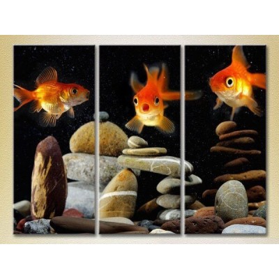 Pictură Magic Color Triptych Goldfish 02 (2698983)