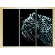 Pictură Magic Color Triptych Fire Leopard 02 (2698996)