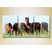 Картина Magic Color Triptych Horses in the Field (2698985)