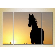 Картина Magic Color Triptych Horse silhouette at sunset (2699003)