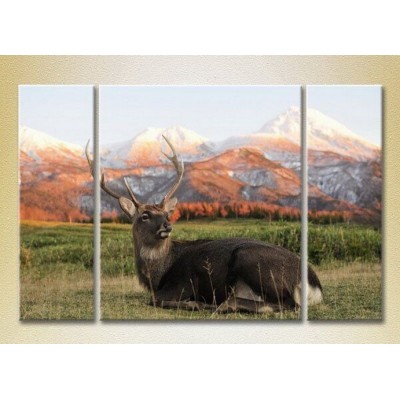 Картина Magic Color Triptych Deer in the mountains (2698992)