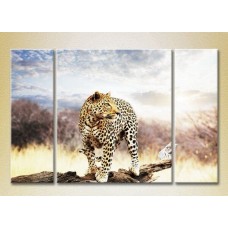 Картина Magic Color Triptych Leopard on a Log 01 (2698998)