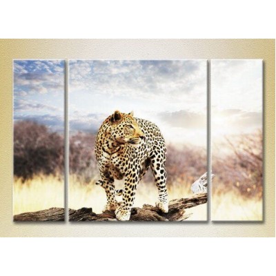 Картина Magic Color Triptych Leopard on a Log 01 (2698998)