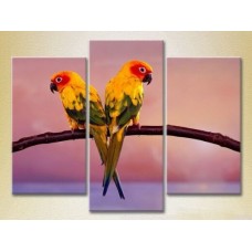 Картина Magic Color Triptych Two Parrots 01 (2698999)