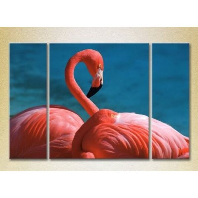 Картина Magic Color Triptych Pink Flamingos 01 (2699002)