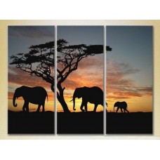 Картина Magic Color Triptych Elephants Sunset in Africa 01 (2699005)