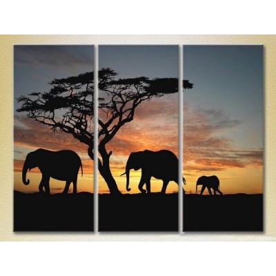 Картина Magic Color Triptych Elephants Sunset in Africa 01 (2699005)