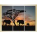 Картина Magic Color Triptych Elephants Sunset in Africa 01 (2699005)