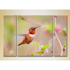 Картина Magic Color Triptych Bird in flight (2699006)