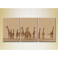 Картина Magic Color Triptych Herd of Giraffes 01 (2699007)